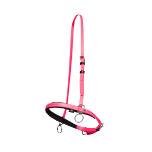 Petit licol beta Wahlsten