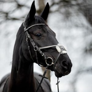 Bridon Mexicain Horze