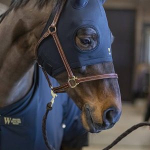 Bonnet lycra avec oreilles Wahlsten