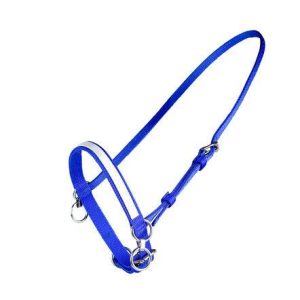 Petit licol en nylon