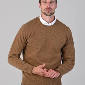 Rob 2 Ply Lambswool Crew Neck