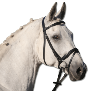 Bridon « Lifestyle »