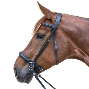 Bridon sans mors STAR