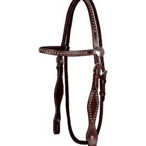 Bridon Western Kansas