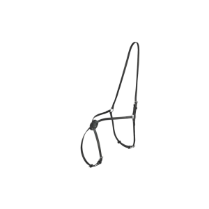 Licol Mexicain en 8 Finntack