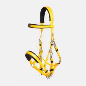 Bride marathon endurance