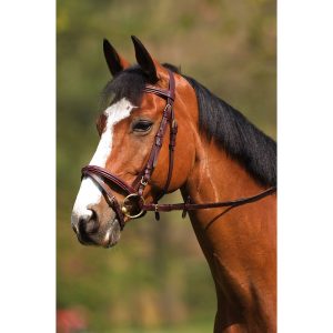 Bridon Norton Club Surpiqué