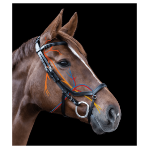 Bridon X-Line « Relaxation »