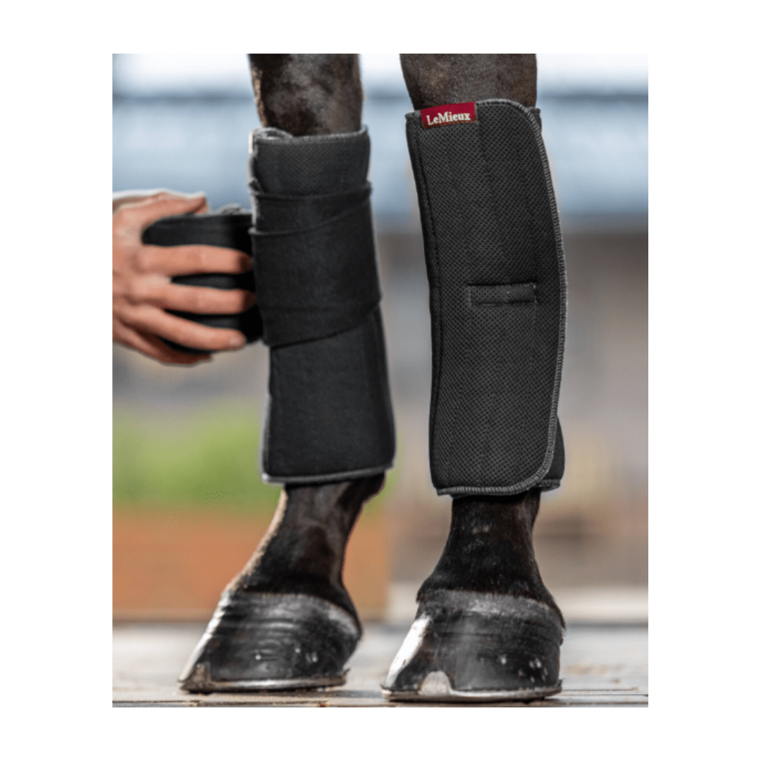 Sous-bandes mémoire de forme LeMieux – Image 2