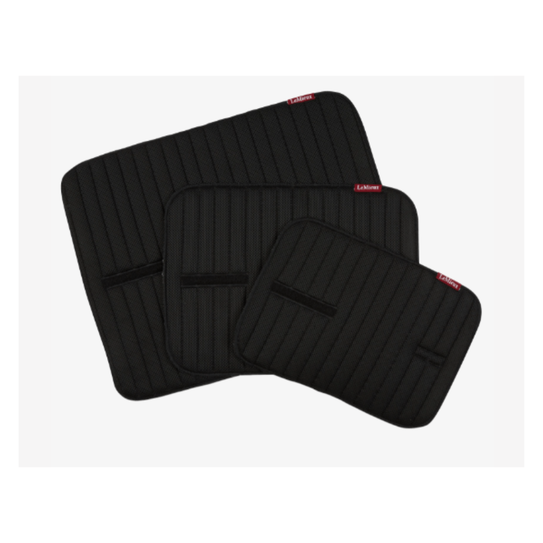 Sous-bandes mémoire de forme LeMieux – Image 3