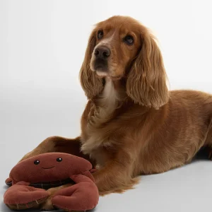 Crab Dog Toy