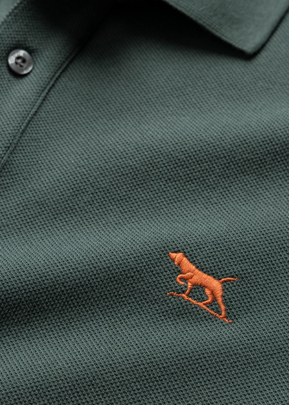 Gunn Polo – Image 8