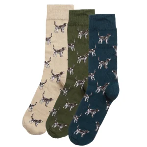 Pointer Socks Gift Box