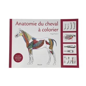 Anatomie du cheval à colorier