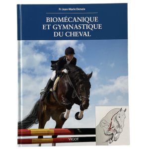 Biomécanique et gymnastique du cheval