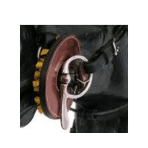 Piquant de bouche brosse