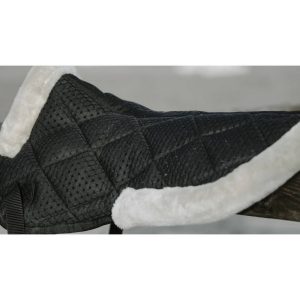 Amortisseur Equithème « Pro Air »