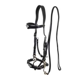 Bride avec hackamore Imperial