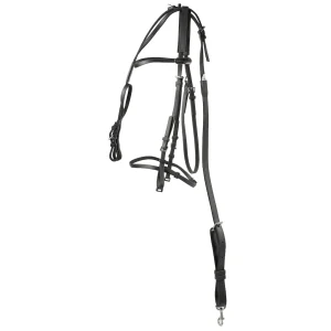 Bride Complete 100% Beta