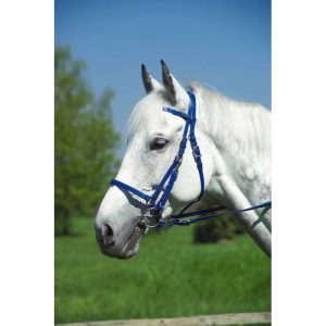 Bridon Licol Norton Synthétique