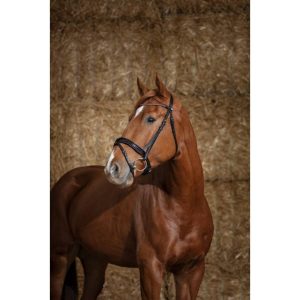 Bridon Norton Pro « Glam »