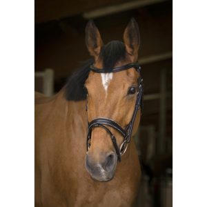 Bridon « Rock » Norton pro