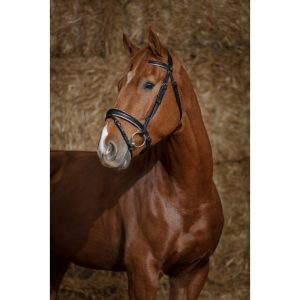 Bridon Norton pro « Satin »