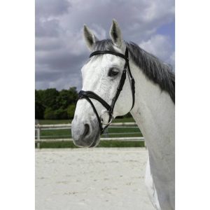 Bridon Norton Pro « Vague »