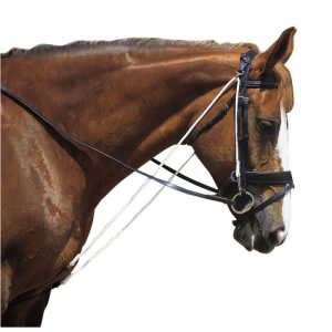 Chambon Norton club à poulies