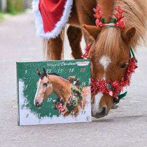 Natural&rsquo;Christmas