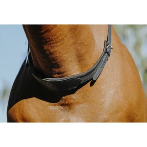 Collier d&rsquo;encolure Norton