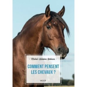 Comment pensent les chevaux ?