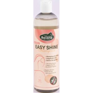 Easy Shine Shampoo