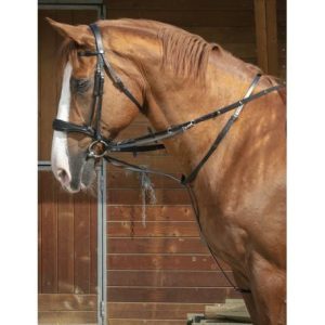 Enrênement Norton « Thiedeman » ou « Howlett »