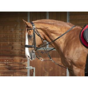 Gogue à poulie Norton Pro