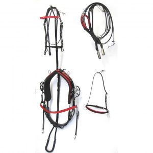 Harnais Complet Racing Tack Rouge