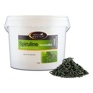 Spiruline vermicelle