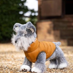 Mini couverture Lemieux