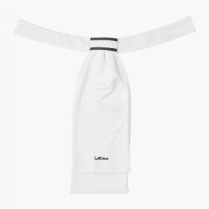 Cravate Sportive Lemieux