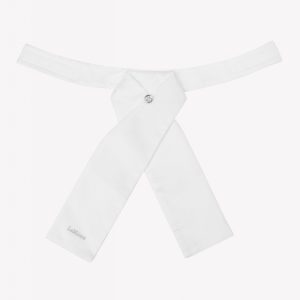 Cravate classique Lemieux