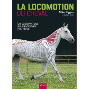 La locomotion du cheval