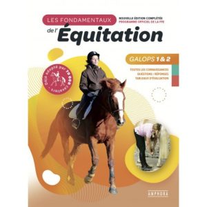 Les fondamentaux de l&rsquo;équitation