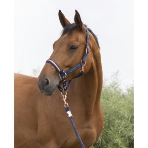 Licol + longe Equithème « Skolstart » Edition limité