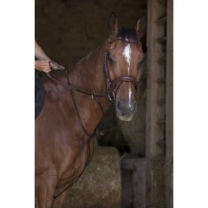 Martingale à anneaux Norton Pro