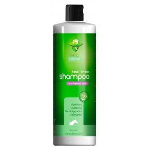 Shampoo Tea Tree