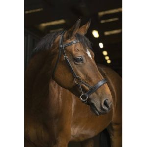 Side-pull Norton Pro « Confort »